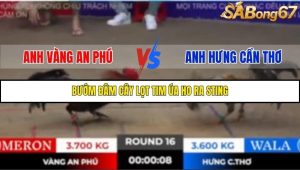 Trận 16 Bồ Gà TONHON 18/10/2025