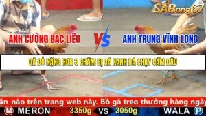 Trận 17 Bồ Gà C5 11/10/2025