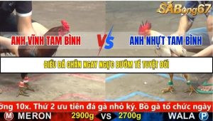 Trận 18 Bồ Gà C5 11/10/2025