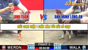 Trận 3 Bồ Gà C3 18/10/2025