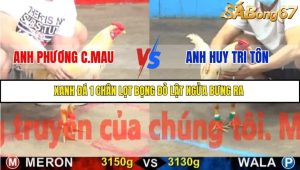Trận 3 Bồ Gà C5 17/10/2025