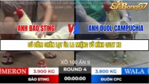 Trận 4 Bồ Gà Tonhon 18/10/2025