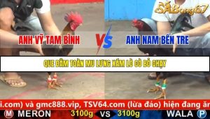Trận 6 Bồ Gà C5 12/10/2025