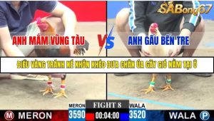 Trận 8 Bồ Gà C3 18/10/2025