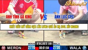 Trận 10 Bồ Gà C3 18/10/2025