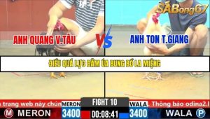 Trận 10 Bồ Gà C6 27/10/2025