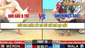 Trận 10 Bồ Gà C6 31/10/2025