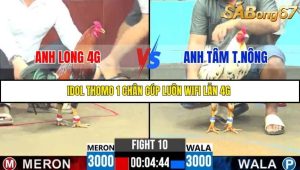 Trận 10 Bồ Gà C6 6/10/2025