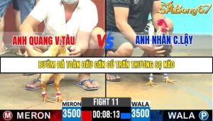 Trận 11 Bồ Gà C6 13/10/2025