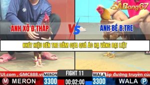 Trận 11 Bồ Gà C6 28/10/2025