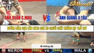 Trận 12 Bồ Gà C5 21/10/2025