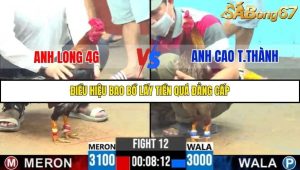 Trận 12 Bồ Gà C6 13/10/2025