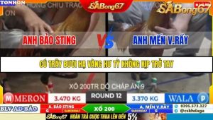 Trận 12 Bồ Gà Tonhon 10/10/2025