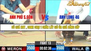 Trận 13 Bồ Gà C6 6/10/2025