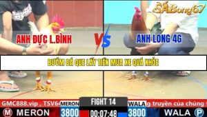 Trận 14 Bồ Gà C6 31/10/2025