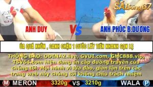 Trận 15 Bồ Gà C5 16/10/2025