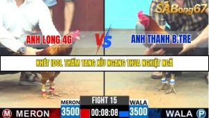 Trận 15 Bồ Gà C6 13/10/2025