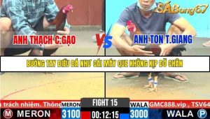 Trận 15 Bồ Gà C6 27/10/2025