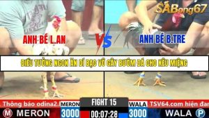 Trận 15 Bồ Gà C6 28/10/2025