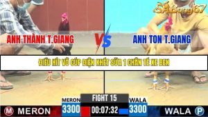 Trận 15 Bồ Gà C6 9/10/2025