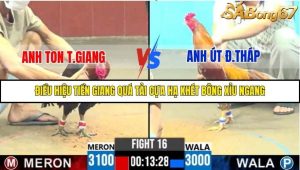 Trận 16 Bồ Gà C5 14/10/2025