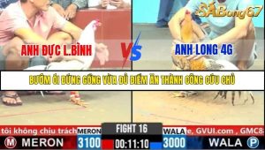 Trận 16 Bồ Gà C6 31/10/2025