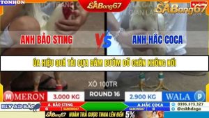 Trận 16 Bồ Gà Tonhon 10/10/2025