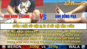 Trận 17 Bồ Gà C5 16/10/2025