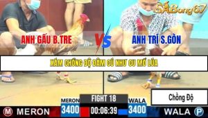 Trận 18 Bồ Gà C6 10/10/2025