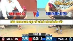 Trận 18 Bồ Gà C6 13/10/2025