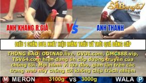 Trận 19 Bồ Gà C5 16/10/2025