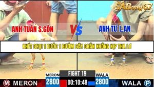 Trận 19 Bồ Gà C6 14/10/2025