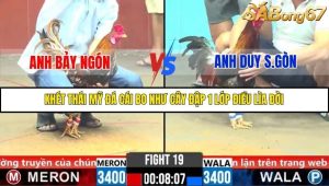 Trận 19 Bồ Gà C6 28/10/2025