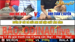 Trận 20 Bồ Gà C5 30/10/2025