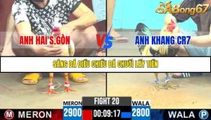 Trận 20 Bồ Gà C6 15/10/2025