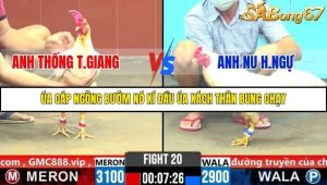 Trận 20 Bồ Gà C6 20/10/2025