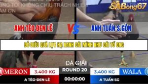 Trận 20 Bồ Gà Tonhon 10/10/2025