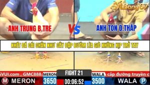 Trận 21 Bồ Gà C6 29/10/2025