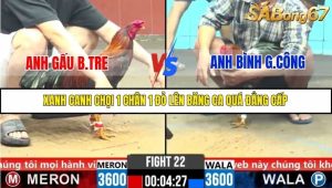 Trận 22 Bồ Gà C5 31/10/2025