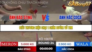 Trận 24 Bồ Gà Tonhon 10/10/2025