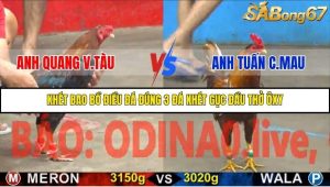 Trận 26 Bồ Gà C5 21/10/2025