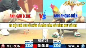 Trận 27 Bồ Gà C6 13/10/2025