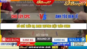 Trận 27 Bồ Gà Tonhon 10/10/2025
