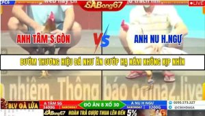 Trận 28 Bồ Gà C6 15/10/2025