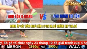 Trận 3 Bồ Gà C5 14/10/2025