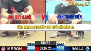 Trận 3 Bồ Gà C6 14/10/2025