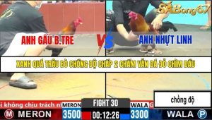 Trận 30 Bồ Gà C5 31/10/2025