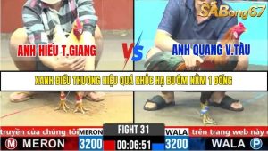 Trận 31 Bồ Gà C6 28/10/2025