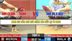 Trận 4 Bồ Gà C6 20/10/2025