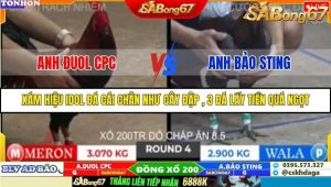 Trận 4 Bồ Gà Tonhon 10/10/2025